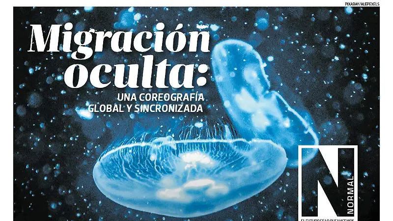 Migración oculta SITIO1